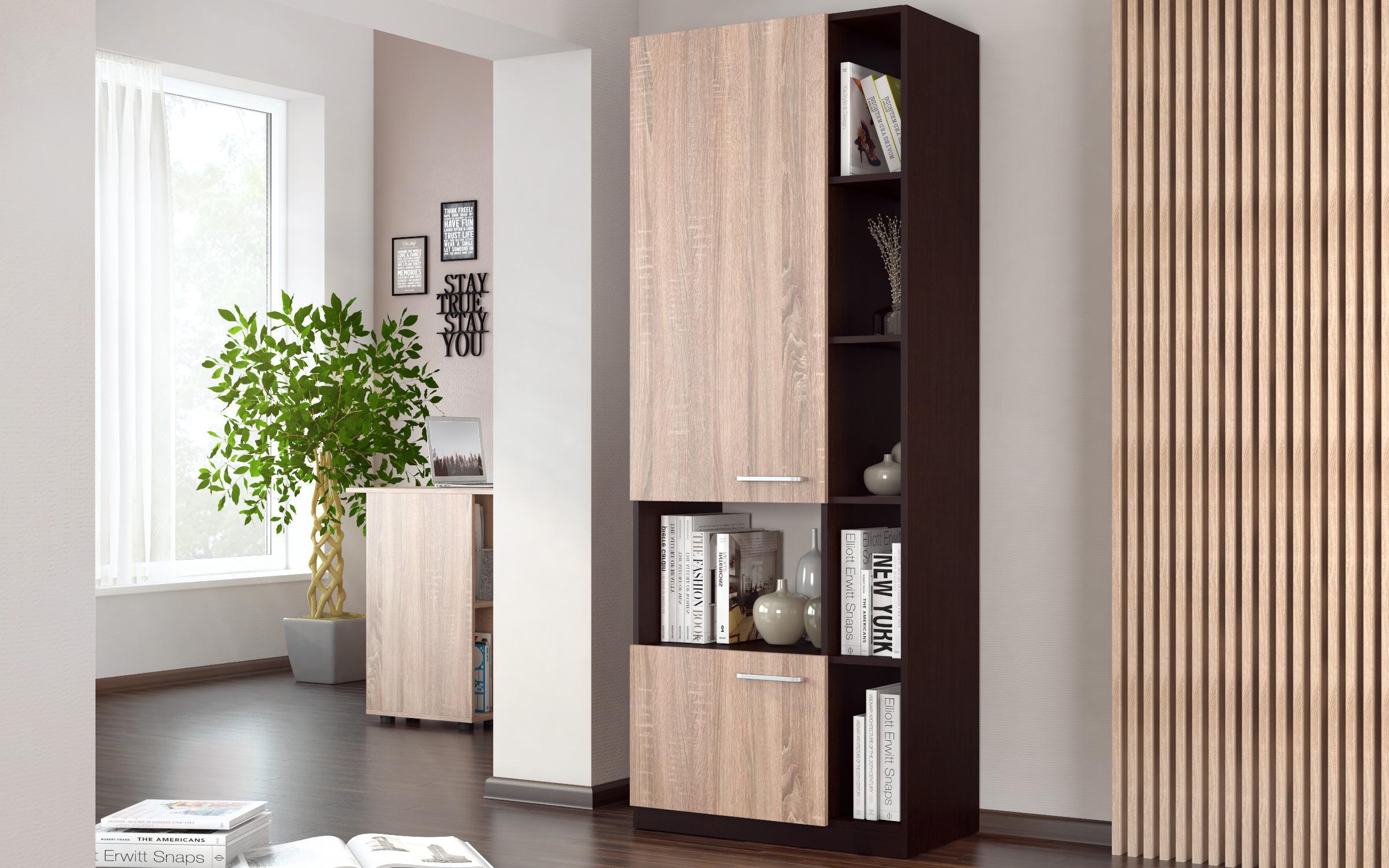 Shelf unit Alan, Wenge + Sonoma oak  1